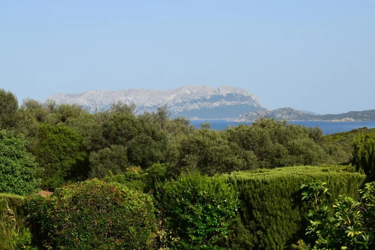 Sa Domitta Di Suiles Apartment Olbia