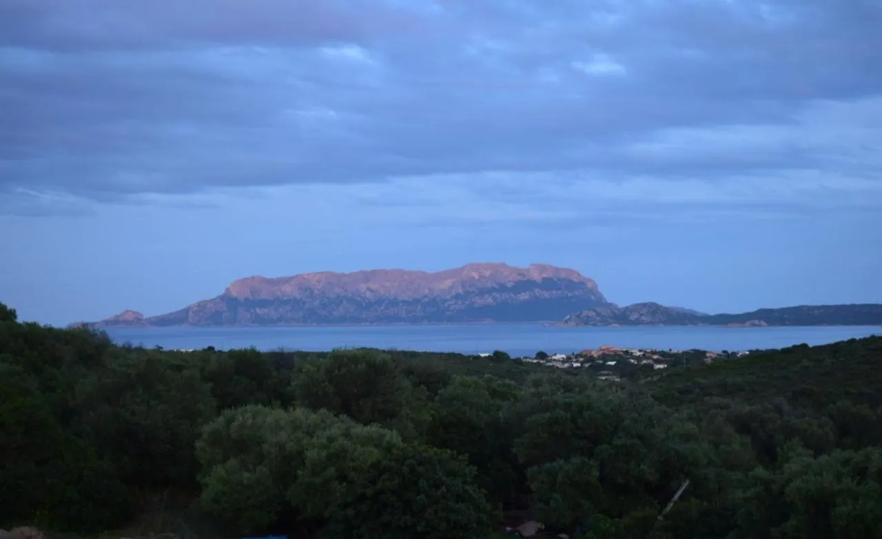 Sa Domitta Di Suiles Apartment Olbia Italy