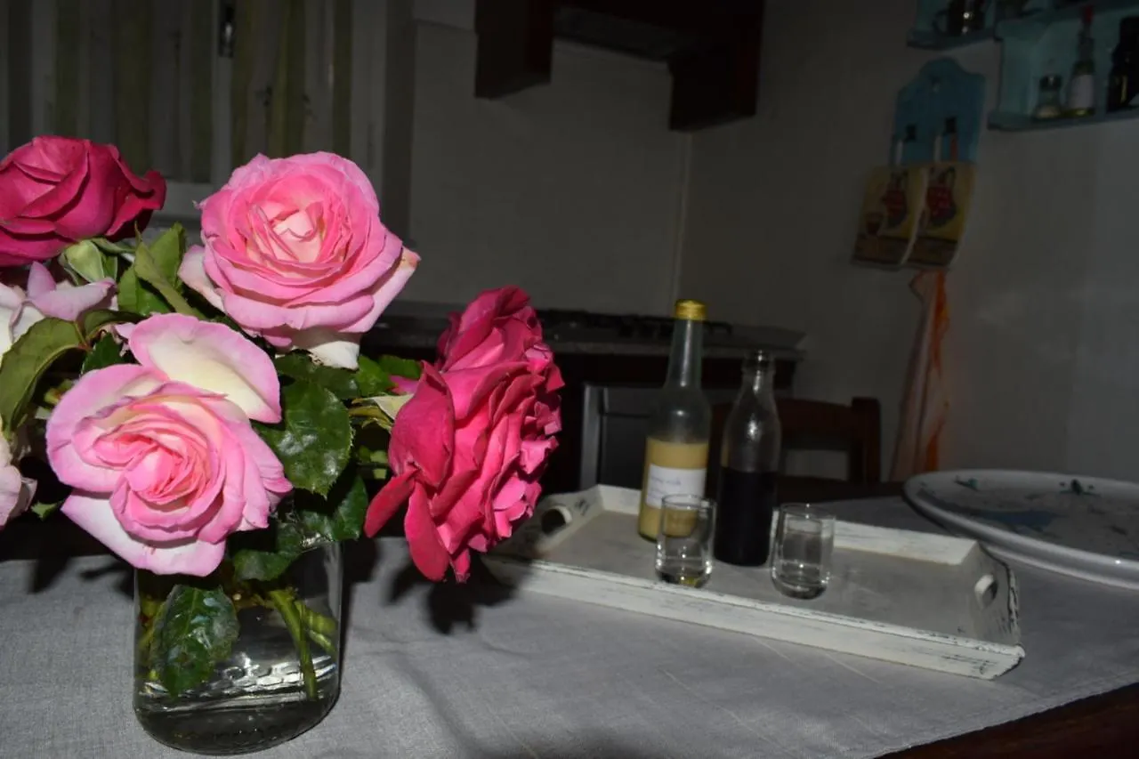 Sa Domitta Di Suiles Apartment Olbia